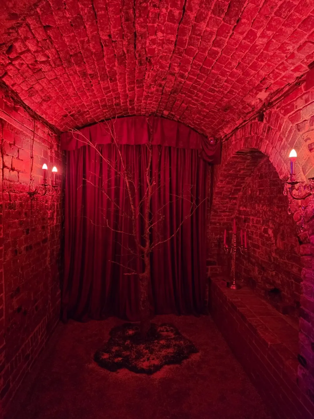 Система освещения — фотостудия Secret Garden, Рязань